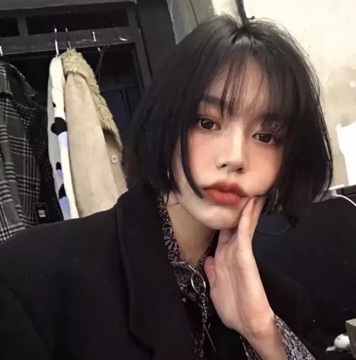 红狐